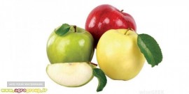 AGRO Apple Fruit Specifications